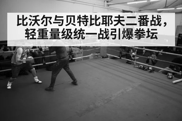 boxer training gym